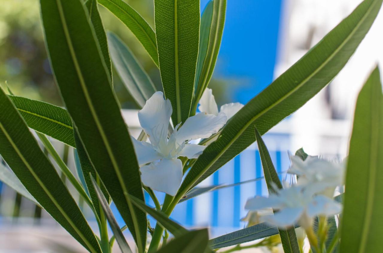 Apartament Amila Crikvenica Zewnętrze zdjęcie